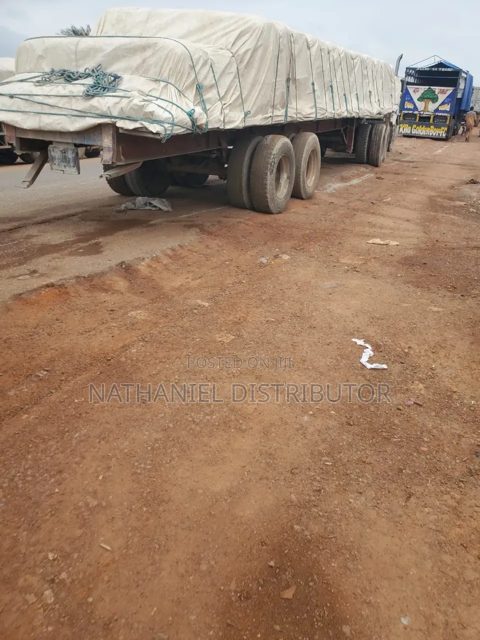 Dangote Cement Dealer