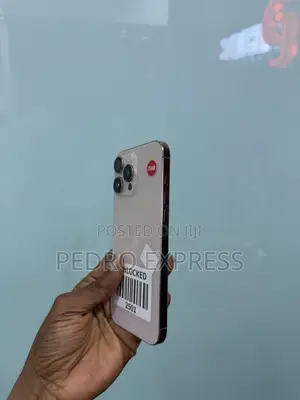 Apple iPhone 16 Pro Max 256 GB