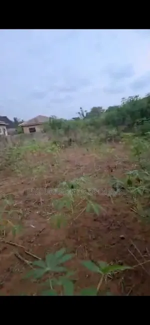 Standard One Plot of Land