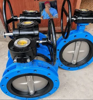 Butterfly Steel Valve