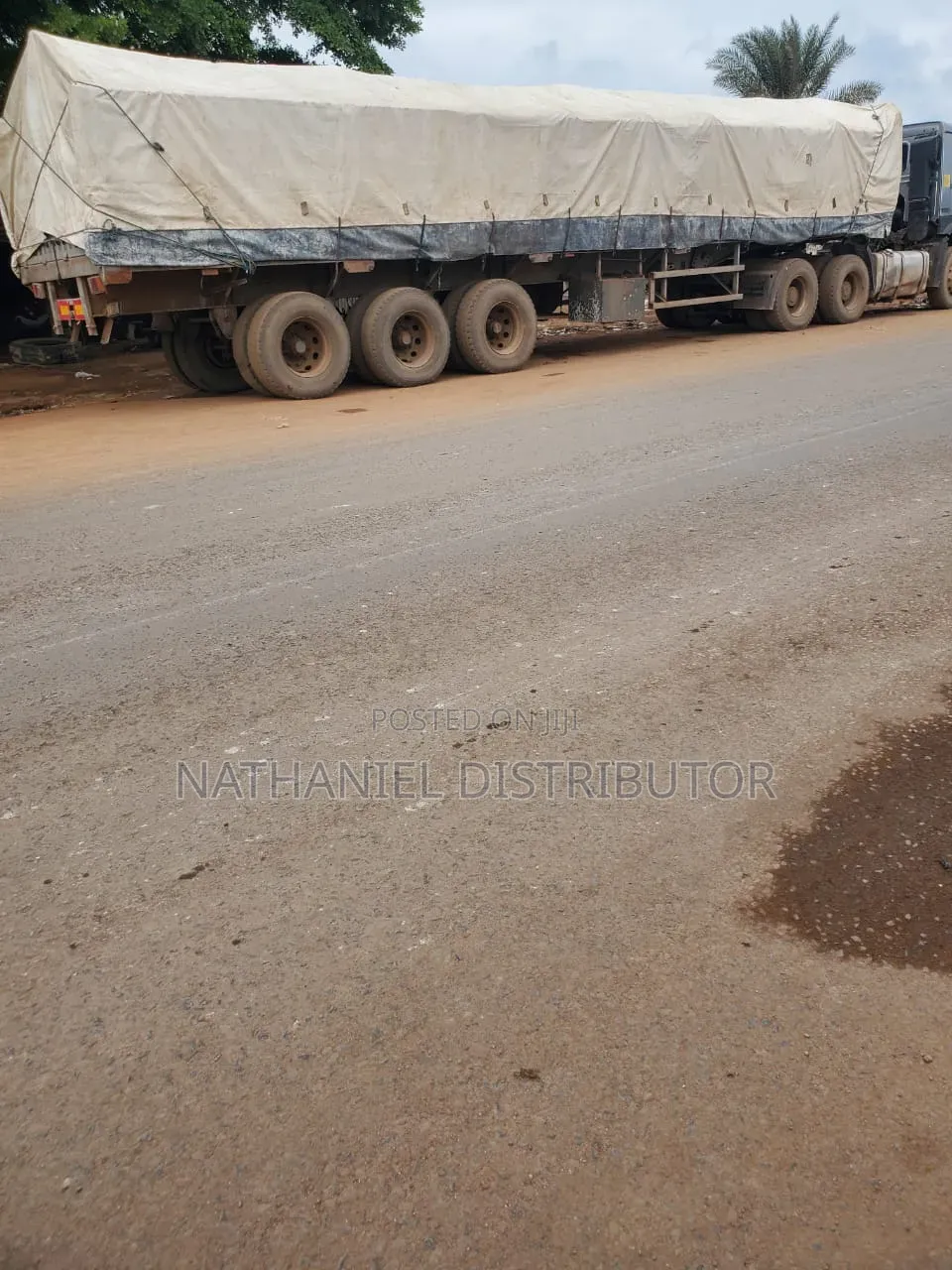Dangote Cement Dealer