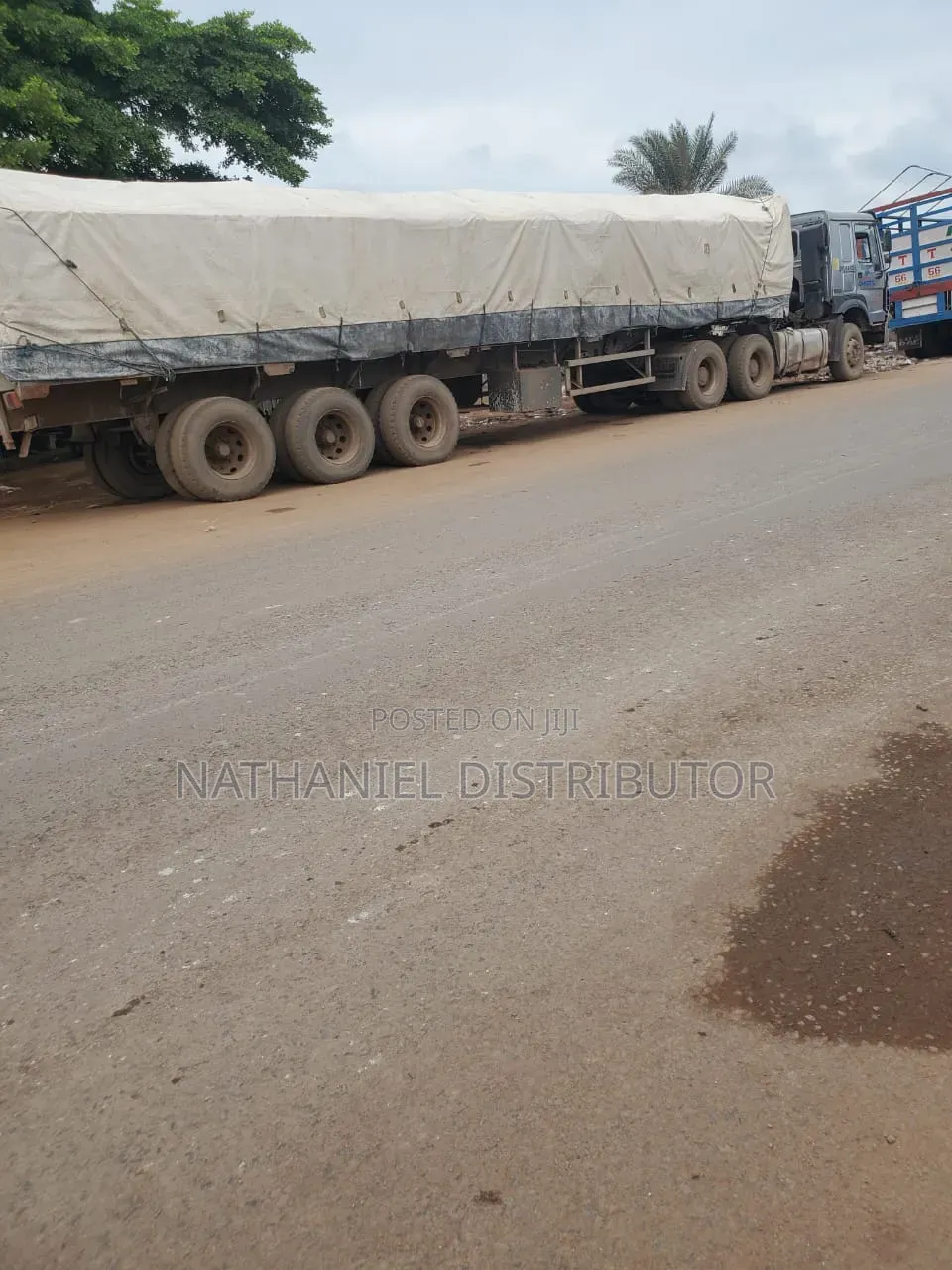 Dangote Cement Dealer