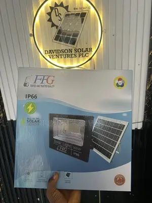 300w FFG Solar Floodlights