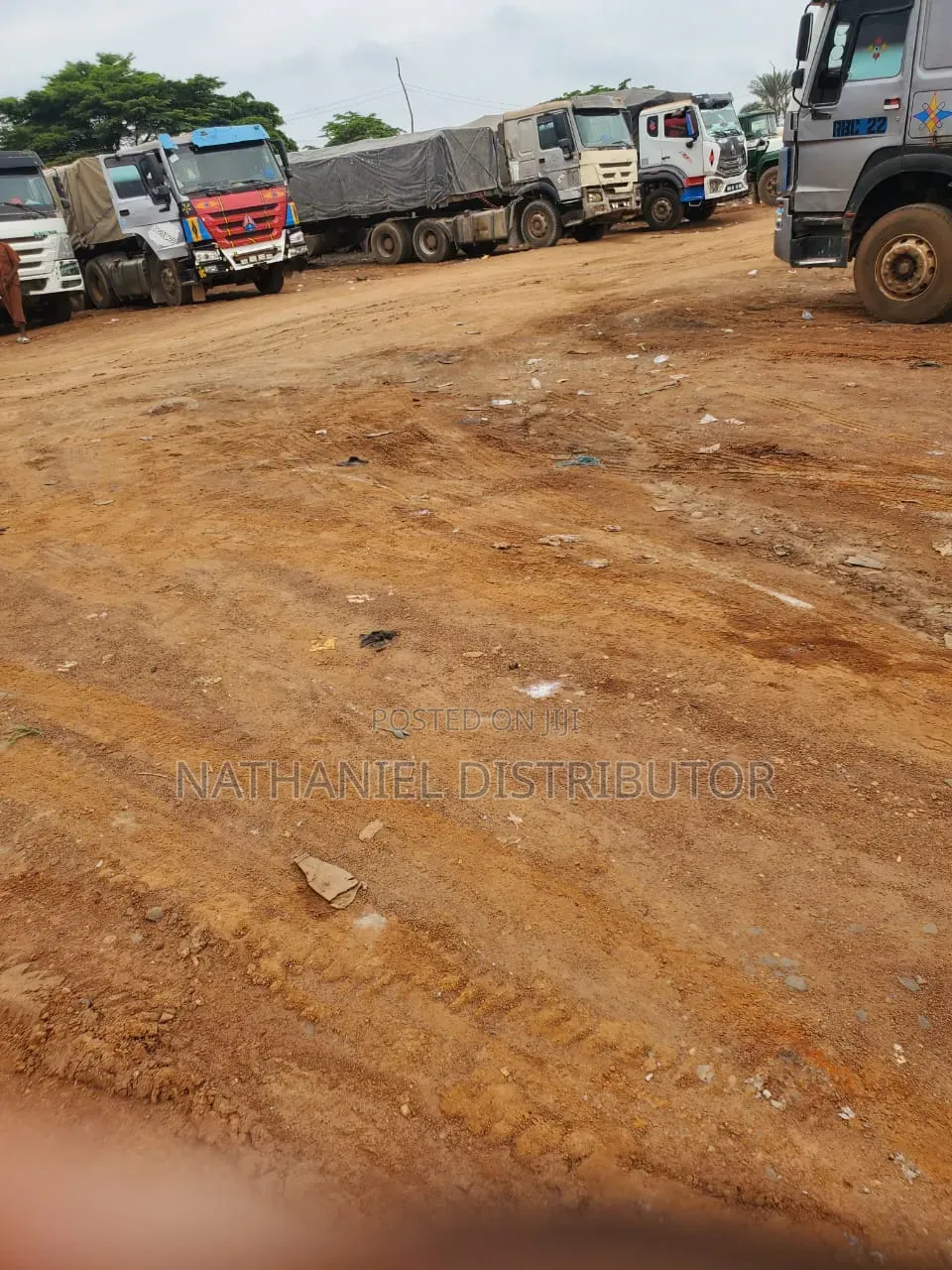 Dangote Cement Distributor