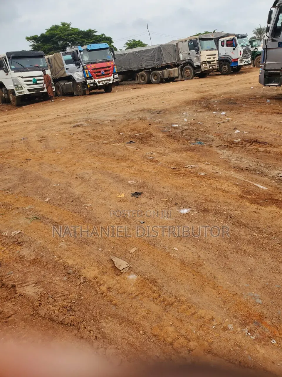 Dangote Cement Distributor