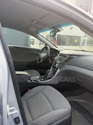 Hyundai Sonata 2014 Blue