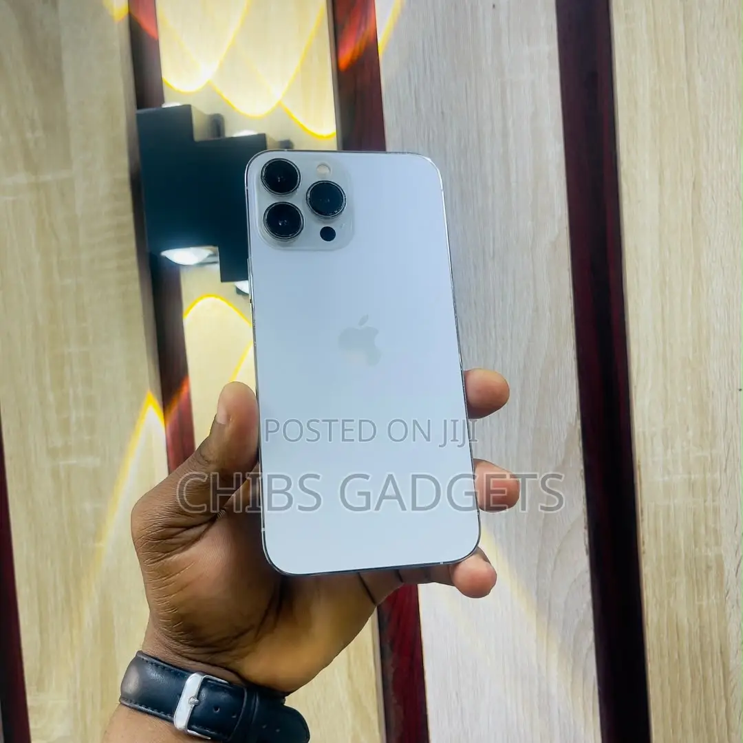 Apple iPhone 13 Pro Max 256 GB Gray