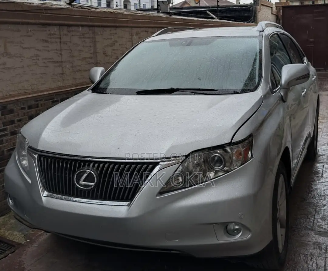 Lexus RX 2010 Silver