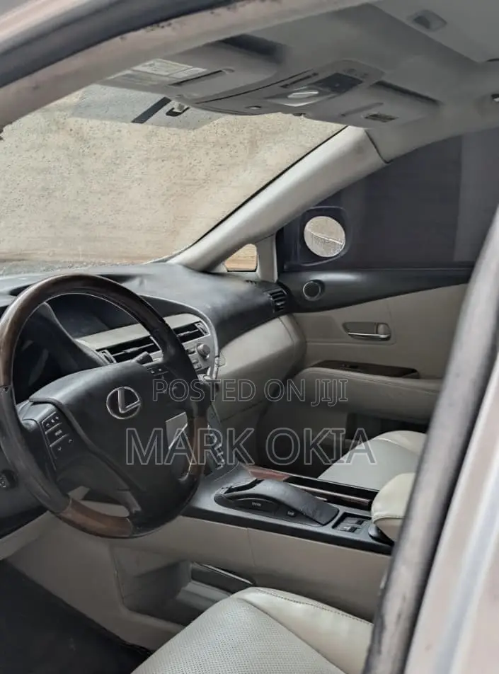 Lexus RX 2010 Silver