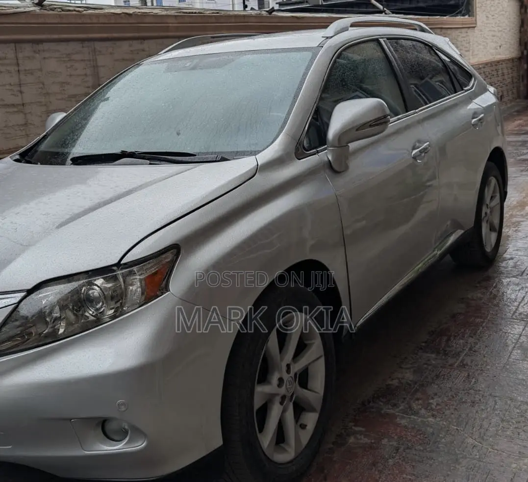 Lexus RX 2010 Silver
