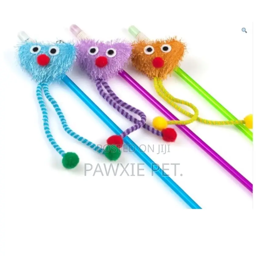 Toys for Cats