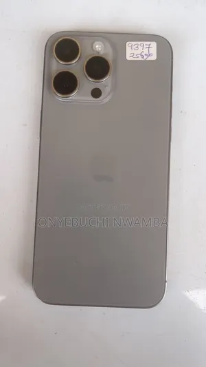 Apple iPhone 15 Pro Max 256 GB Gray