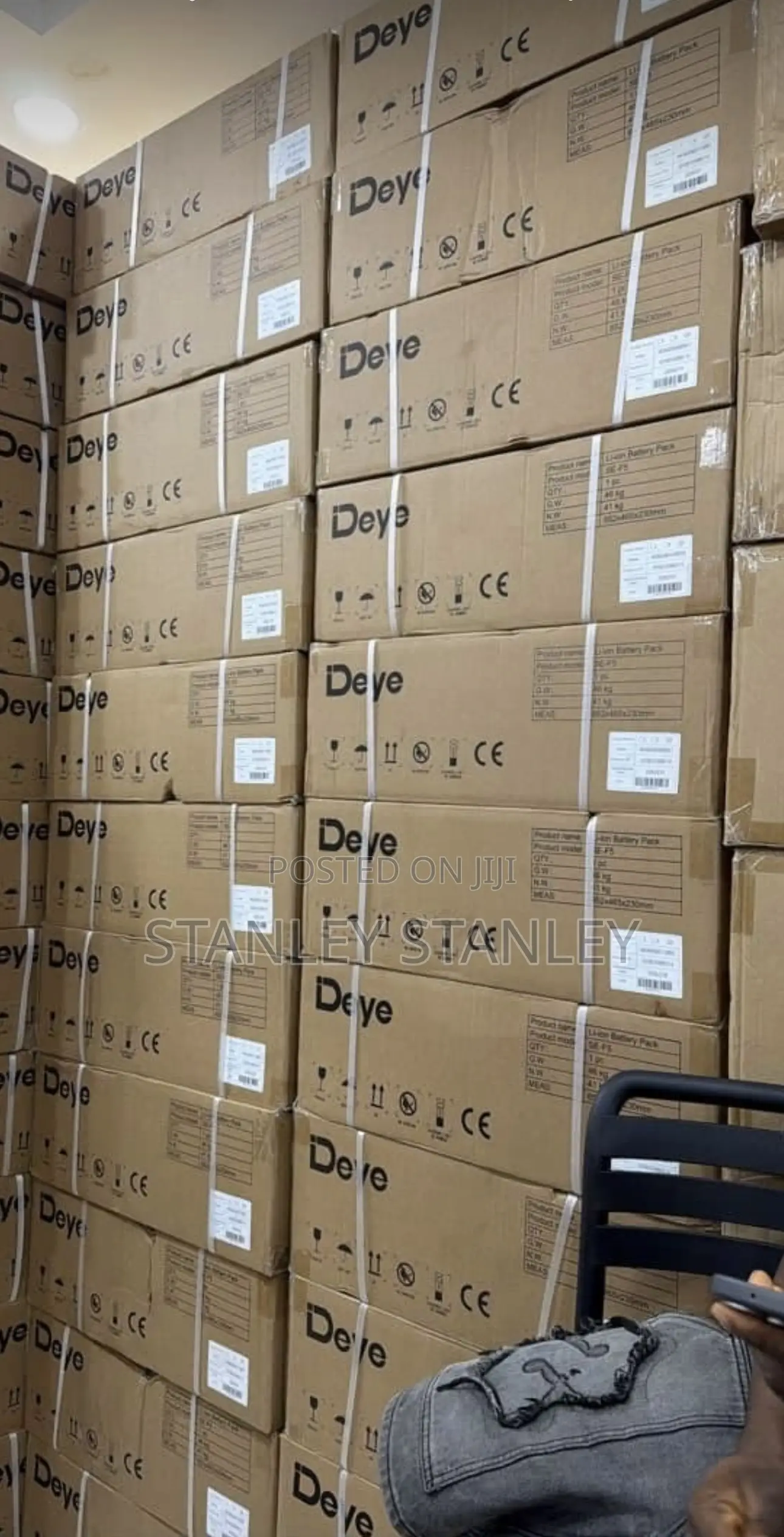 DEYE Lithium Battery