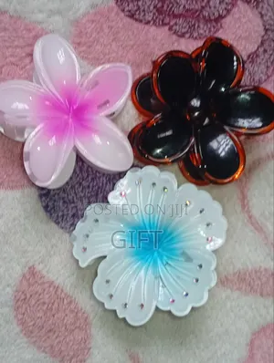 Hair Clips