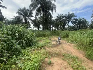 35plots of Land Beside Airport Fence Ipo Omagwa