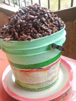 Stone-Free Locust Bean