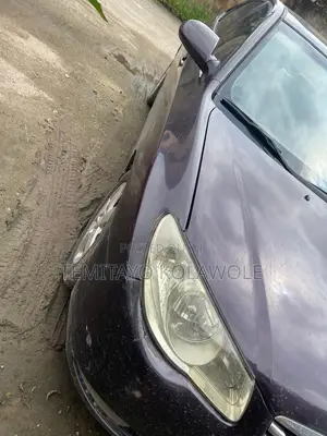 Hyundai Elantra 2009 Purple