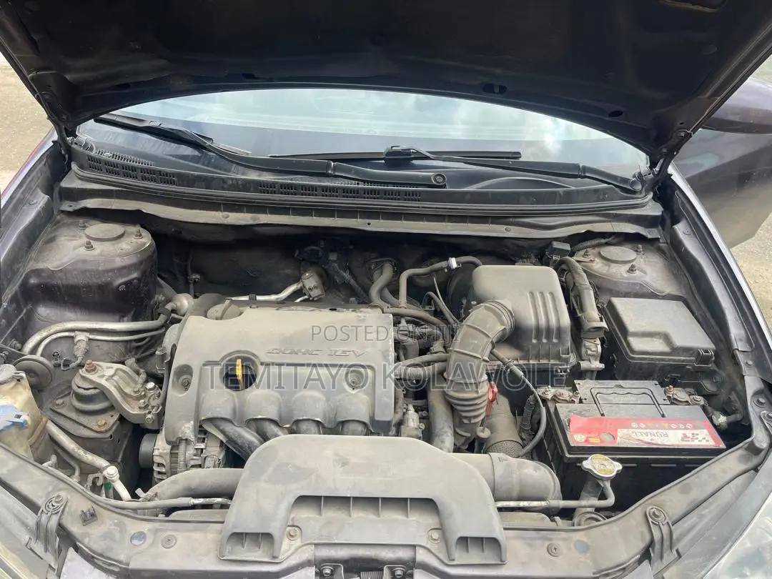 Hyundai Elantra 2009 Purple