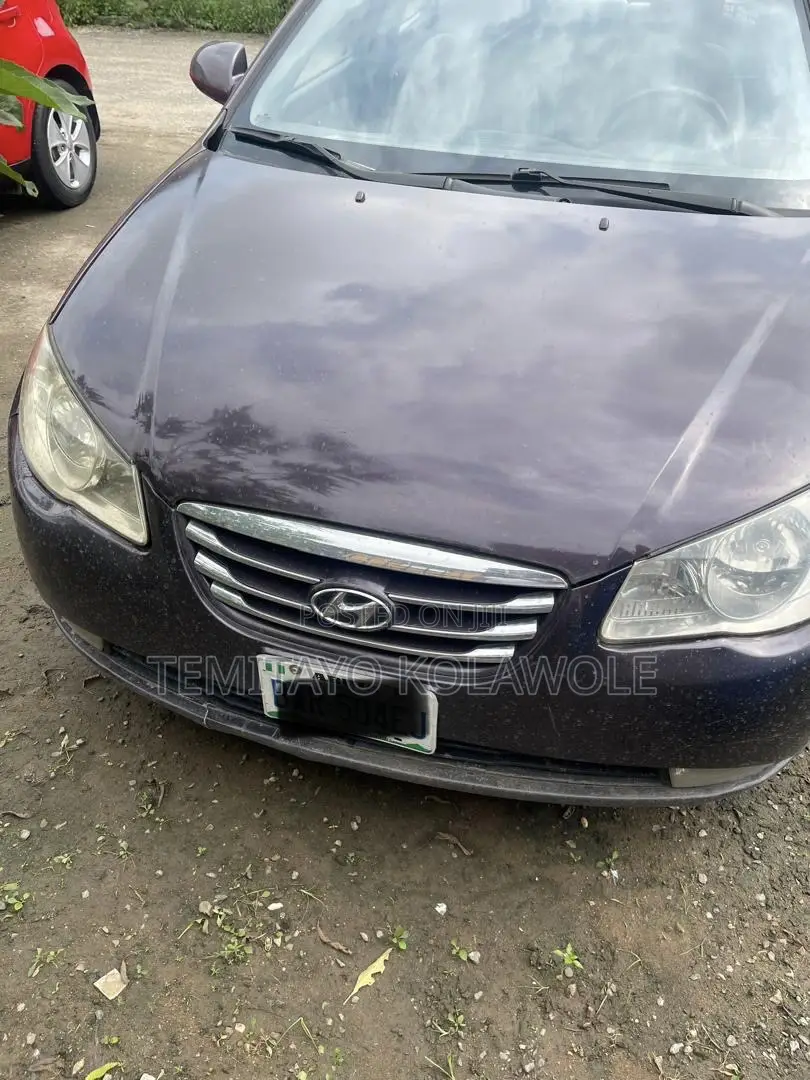 Hyundai Elantra 2009 Purple