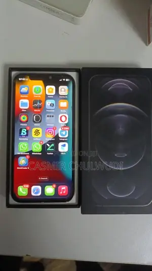 Apple iPhone 12 Pro 256 GB Gray