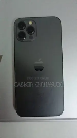 Apple iPhone 12 Pro 256 GB Gray