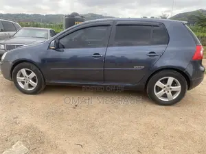 Volkswagen Golf 2010 Gray