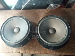 Volkswagen Door Speaker