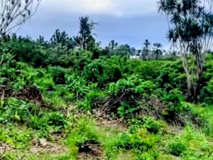 2 Plots on a Distress Sale at Bishop Nwaedo Estate Umuahia