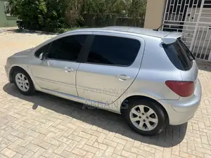 Peugeot 307 2007 Silver