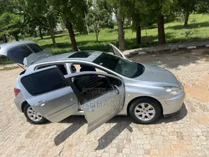 Peugeot 307 2007 Silver
