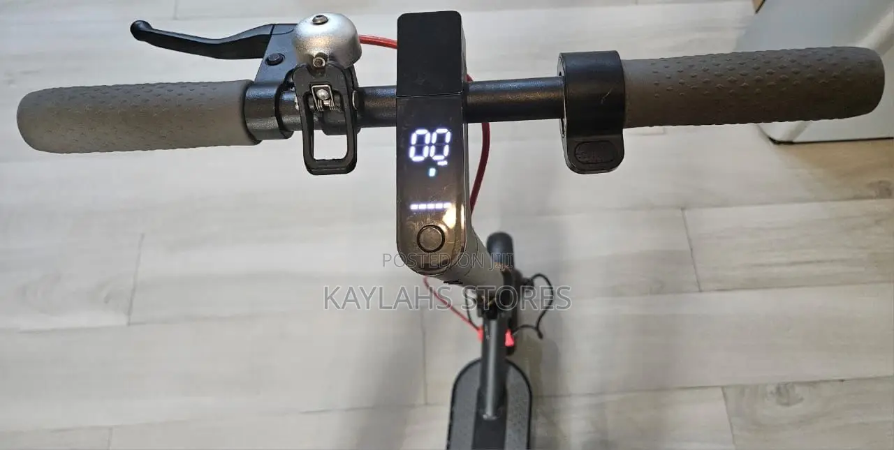 Electronic Scooter