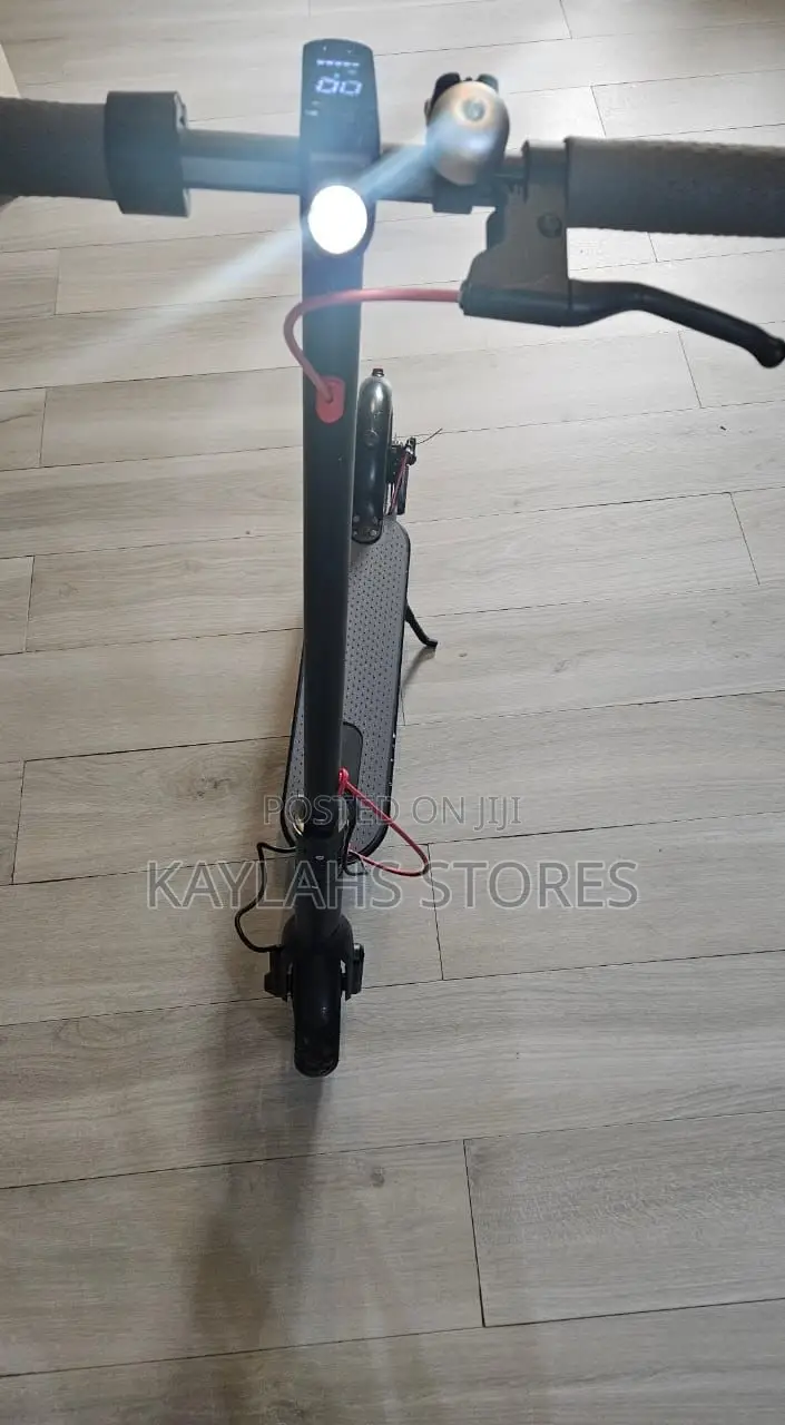 Electronic Scooter