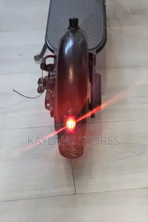 Electronic Scooter