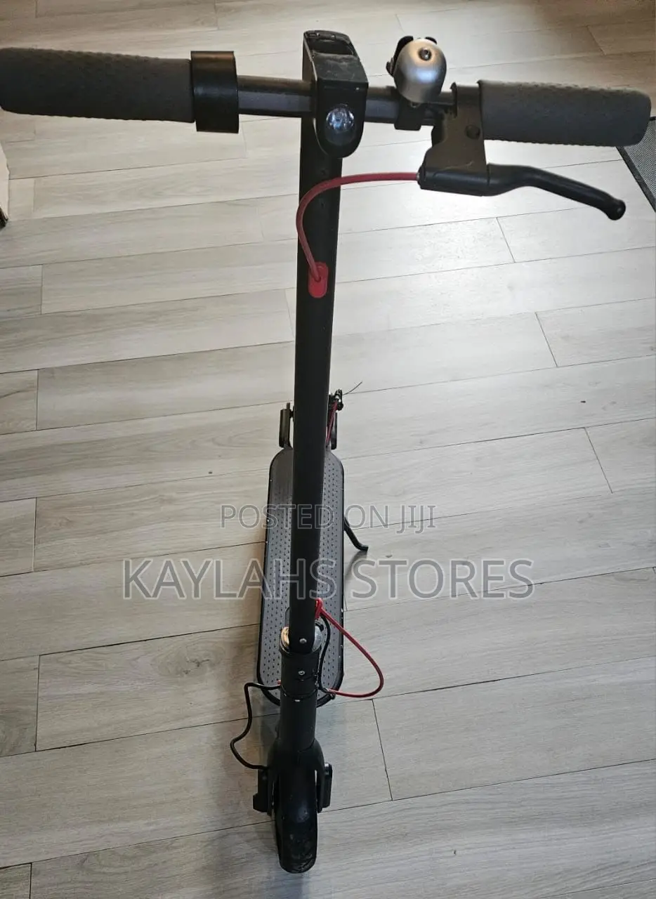 Electronic Scooter