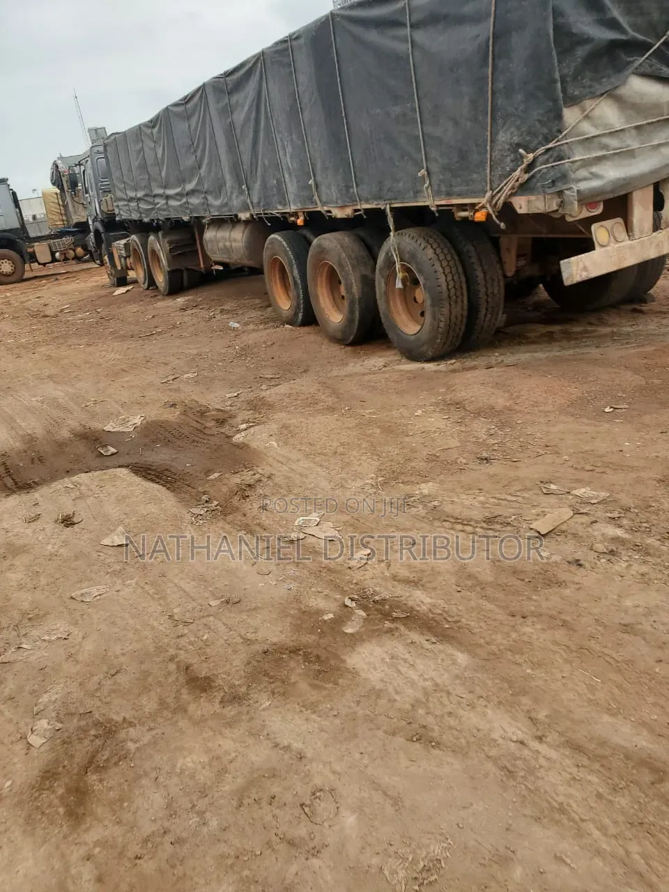 Dangote Cement Distributor
