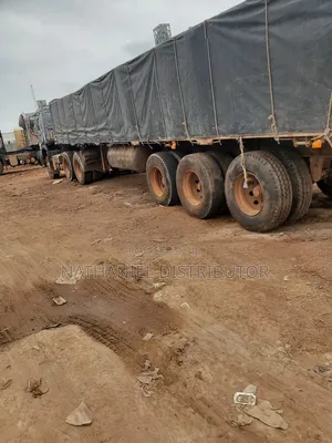 Dangote Cement Distributor