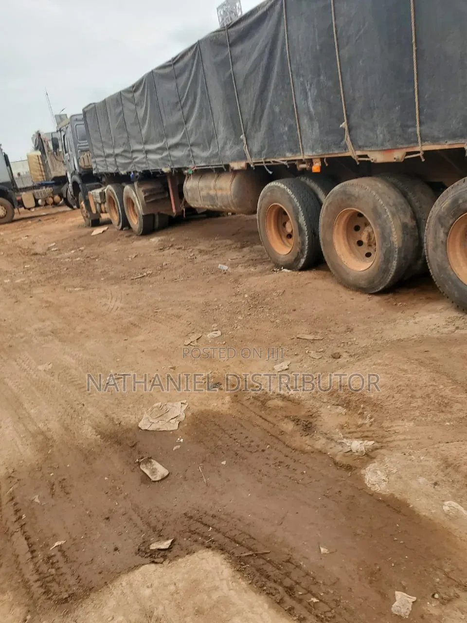 Dangote Cement Dealer