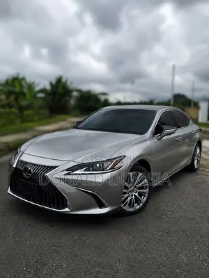 Lexus ES 250 Luxury 2021 Gray