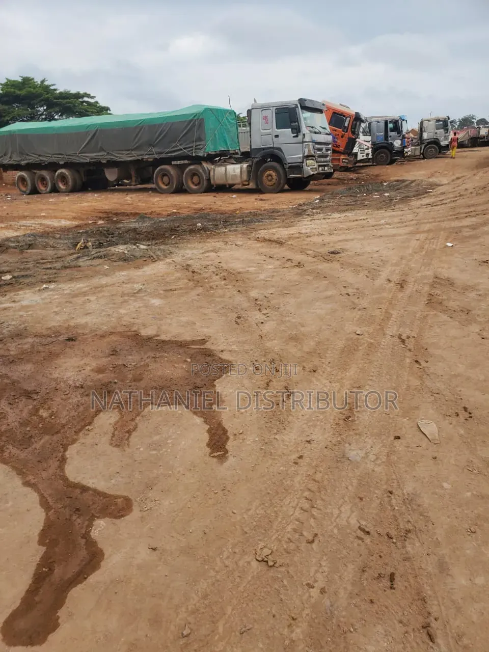 Dangote Cement Supply