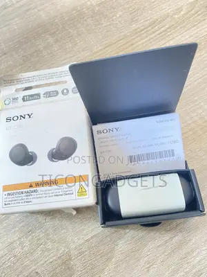 Sony Wf-C510