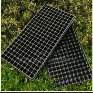 Nursery Seedlings Trays