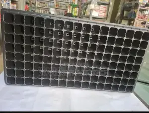 Nursery Seedlings Trays