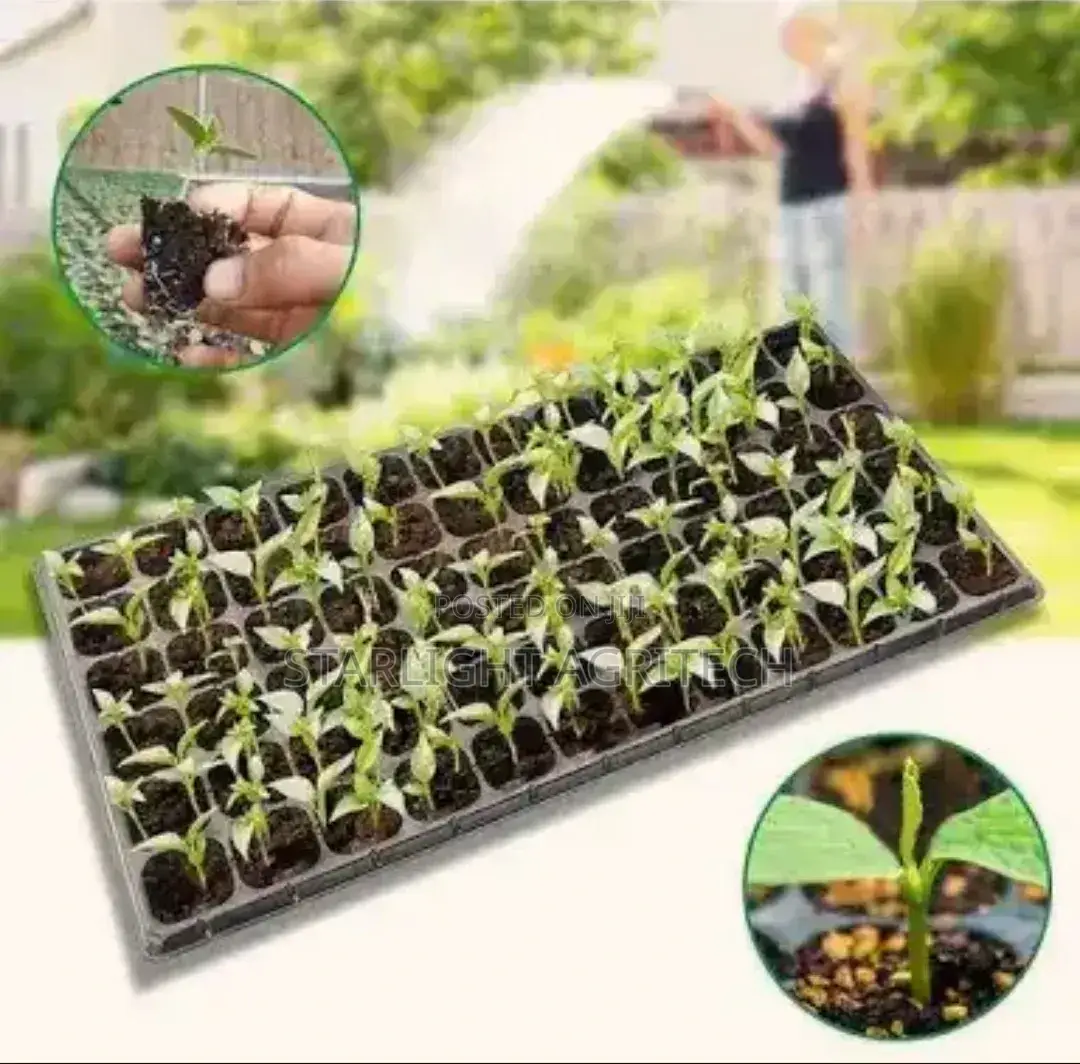 Nursery Seedlings Trays