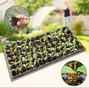 Nursery Seedlings Trays