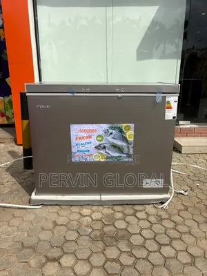 Snowsea Freezer BD308G 220L