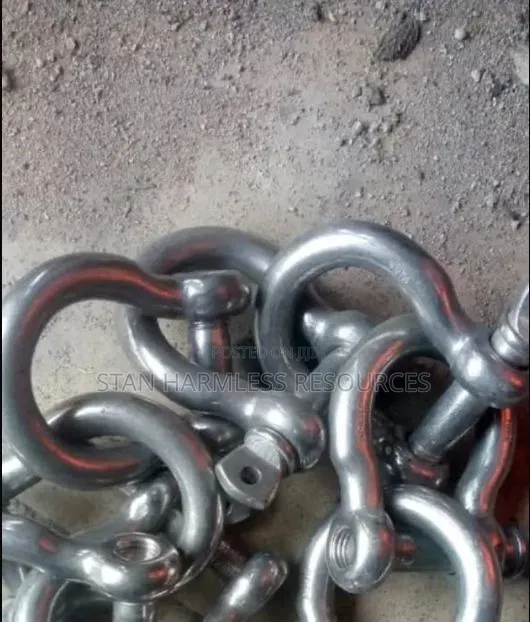 Stainless Bow Shackle