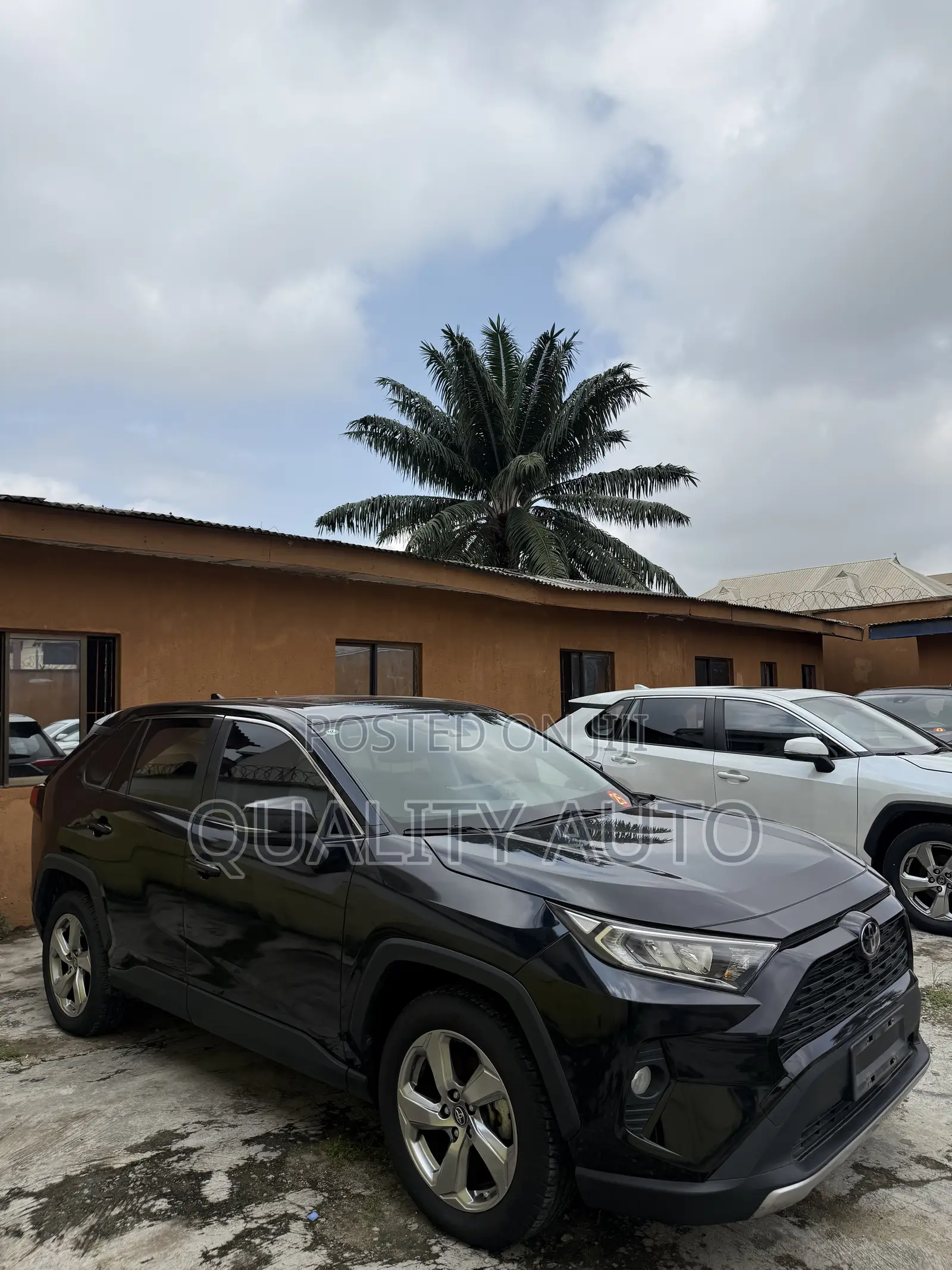 Toyota RAV4 2023 Black