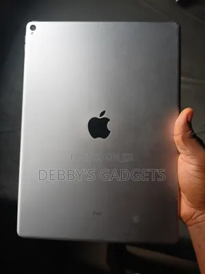 Apple iPad Pro 256 GB Gray