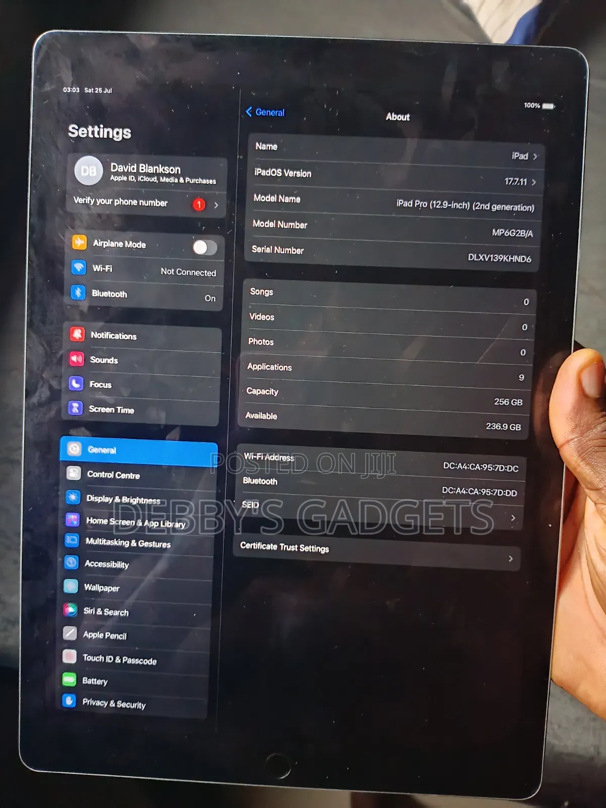 Apple iPad Pro 256 GB Gray