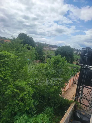1 Plot of Land